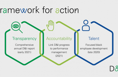 BP Diversity Framework